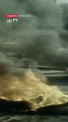 37 Days | movie | 2011 | Official Trailer