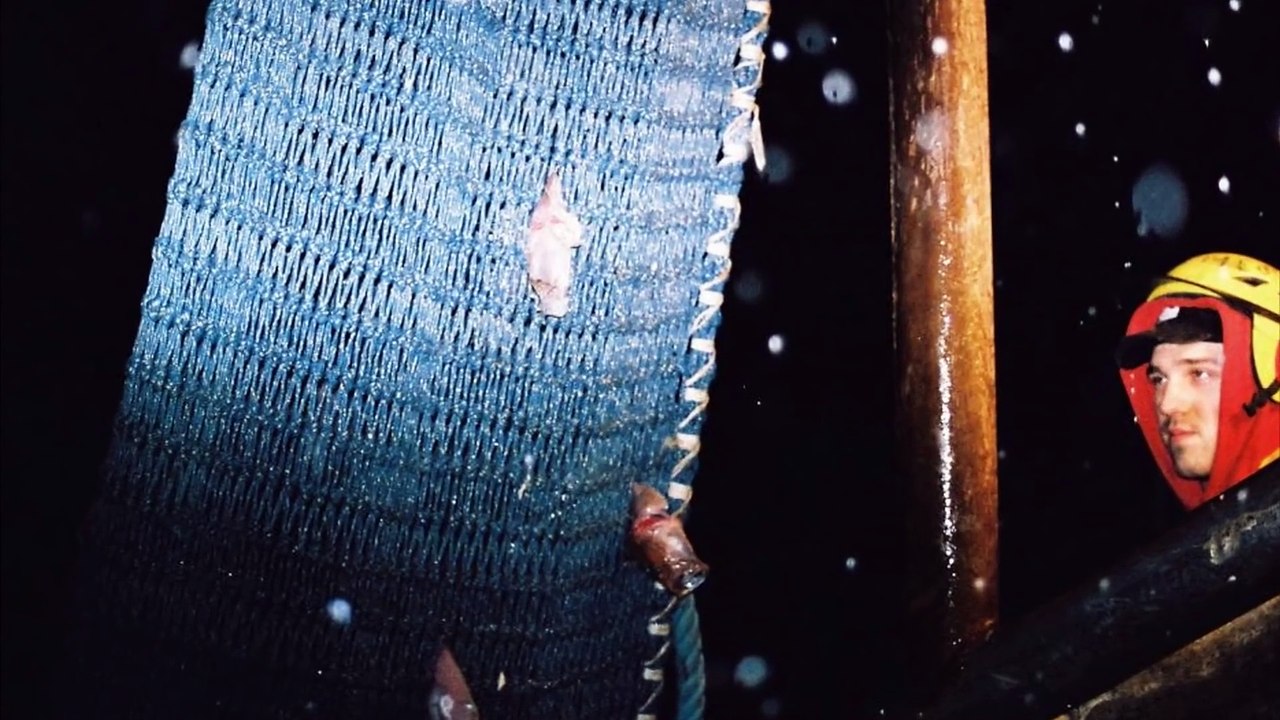 5 Cosas Más Aterradoras que han Dejado en SHOCK a MARINEROS en ALTAMAR