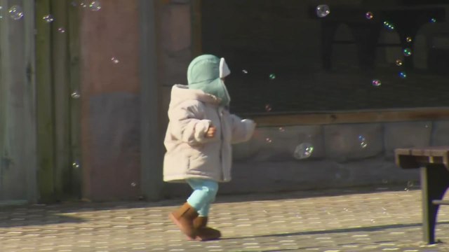 봄의 시작 '입춘'...온화한 날씨에 도심 동물원 '북적' / YTN