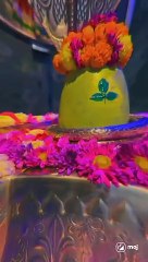 Inspirational Mahadev Status | Divine Quotes for Devotees ✨