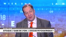 Michel Taube : «Cette haine de la France qui est relayée par de nombreux pays en Afrique, elle est présente sur le sol français»