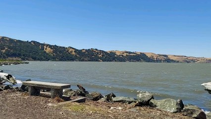 Windsurfing at the marina.