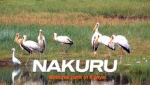 NAKURU