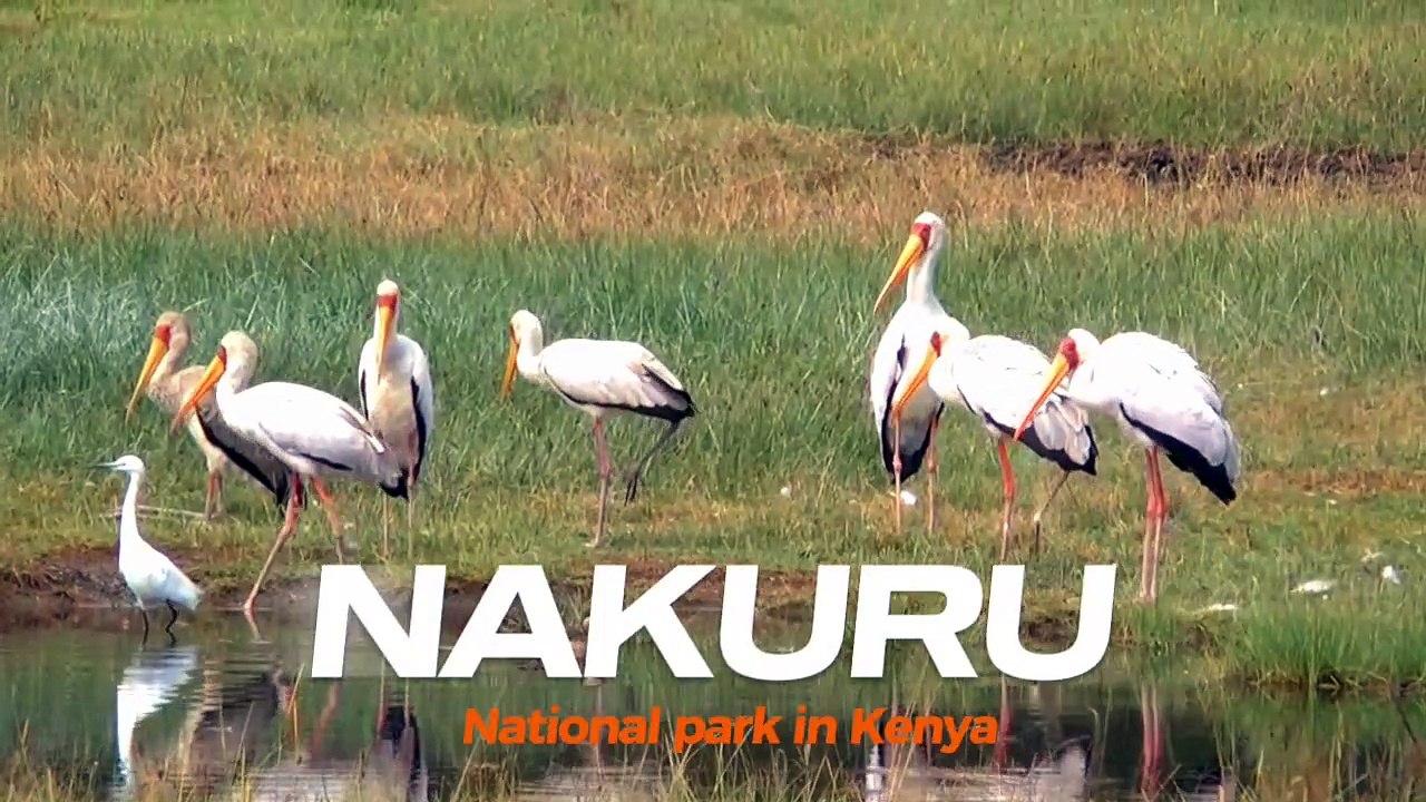 NAKURU