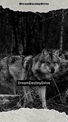 There is a lesson in every peron that comes in your life