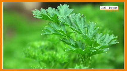 Sorsi di benessere - Insaporire con gusto, ma senza salare? Ecco come