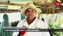Contaminación del mar en Bahía de Paredón, Tonalá, Chiapas, causa enfermedades en pescadores