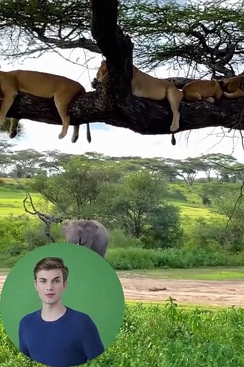 Travel To Tanzania