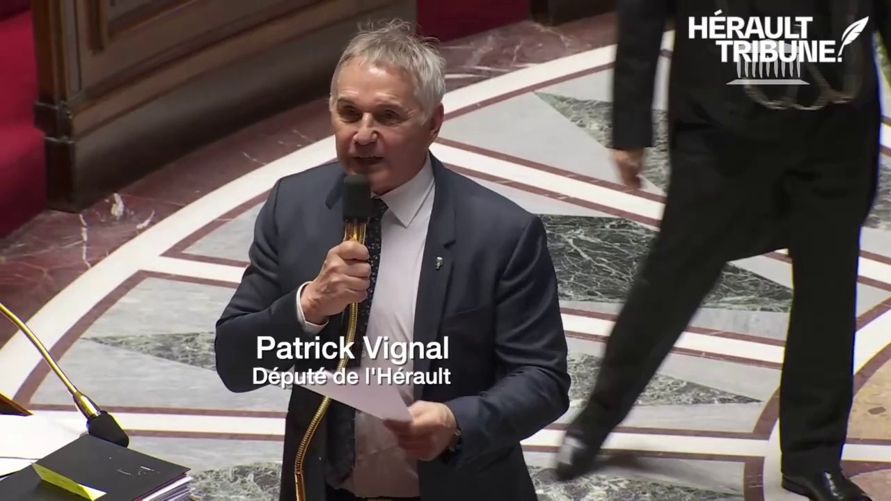 Loi Vignal, pour reconnaître les métiers de la médiation sociale