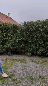 Mon frère m'a raconté cette blague il y a 10 ans. Elle me fait toujours autant rire...