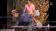 SĂPÂNȚA - 1999 - Turmă de oi lovită de fulger