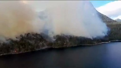 Nuevo Incendio en la Patagonia Genera Alarmas 🚒