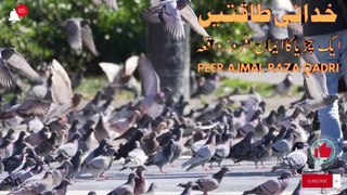 Sparrow & God Powers by Ajmal Raza Qadri چڑیا کی کہانی اور گاڈ پاورز اجمل رضا قادری