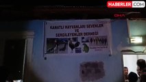 Denizli'de horoz dövüşü operasyonu: Dernek başkanı ve yardımcısı gözaltına alındı