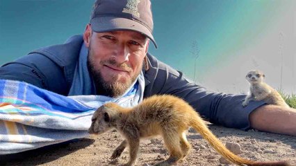 Heartsome Animal-Hooman Connections | A Heartwarming Compilation!