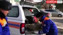 Kırgızistan'da santraldeki patlamanın 3'üncü gününde enkazdan bir köpek kurtarıldı