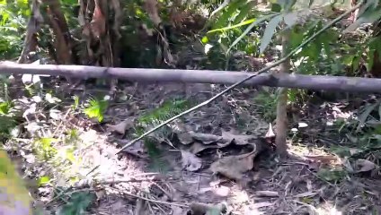 We Found An Amazing Pot! | Treasure Hunt | S Discover Life