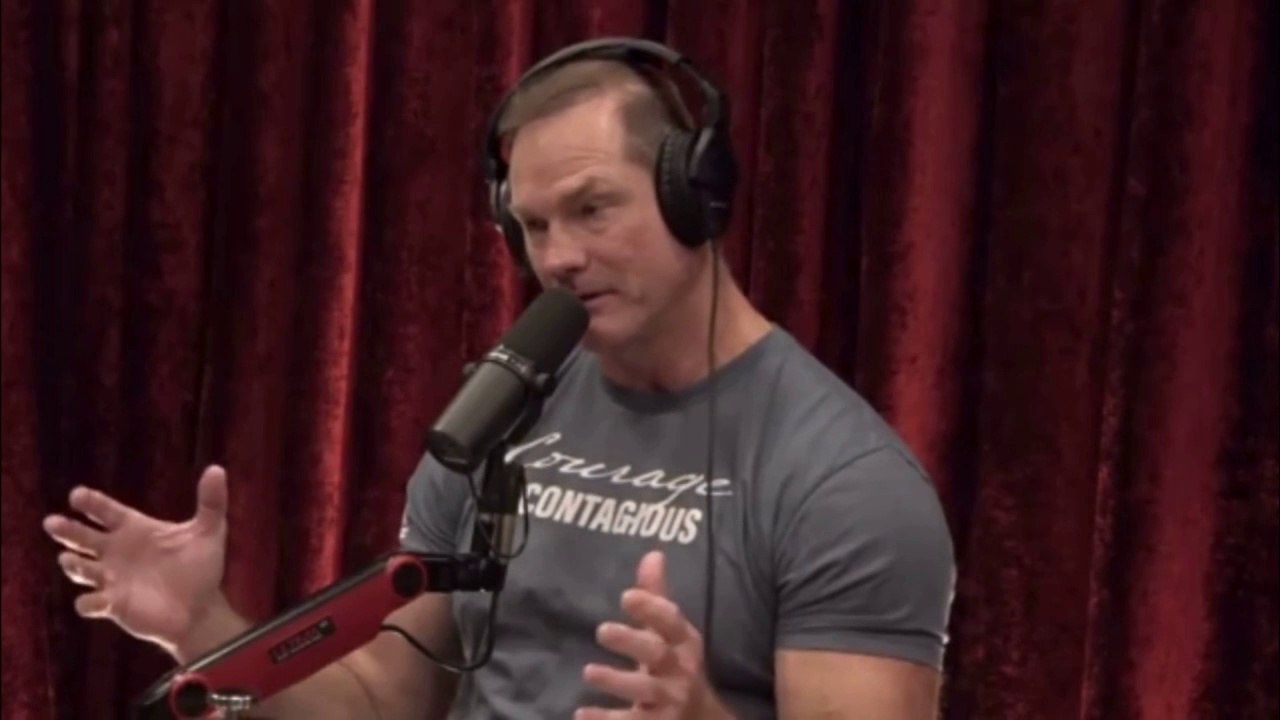Joe Rogan - Dr. Shawn Baker - How good is the carnivore diet