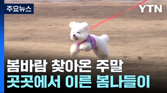 봄바람 찾아온 휴일...포근한 날씨에 도심 유원지 '북적' / YTN