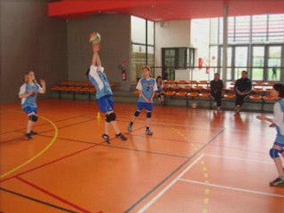 Volleyball bg-bf 52 du 2-4-8