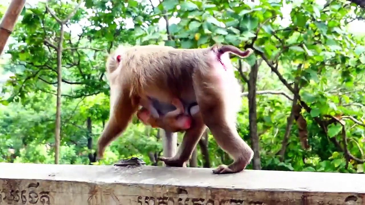 Rozy Mother Warns To Have Milk (720p_25fps_H264-192kbit_AAC)