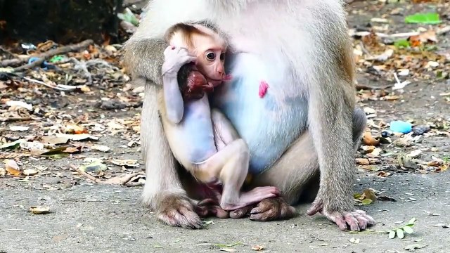 ROZY Rejects ROCKSTAR And Pulls Him Tightly Backward (720p_25fps_H264-192kbit_AAC)