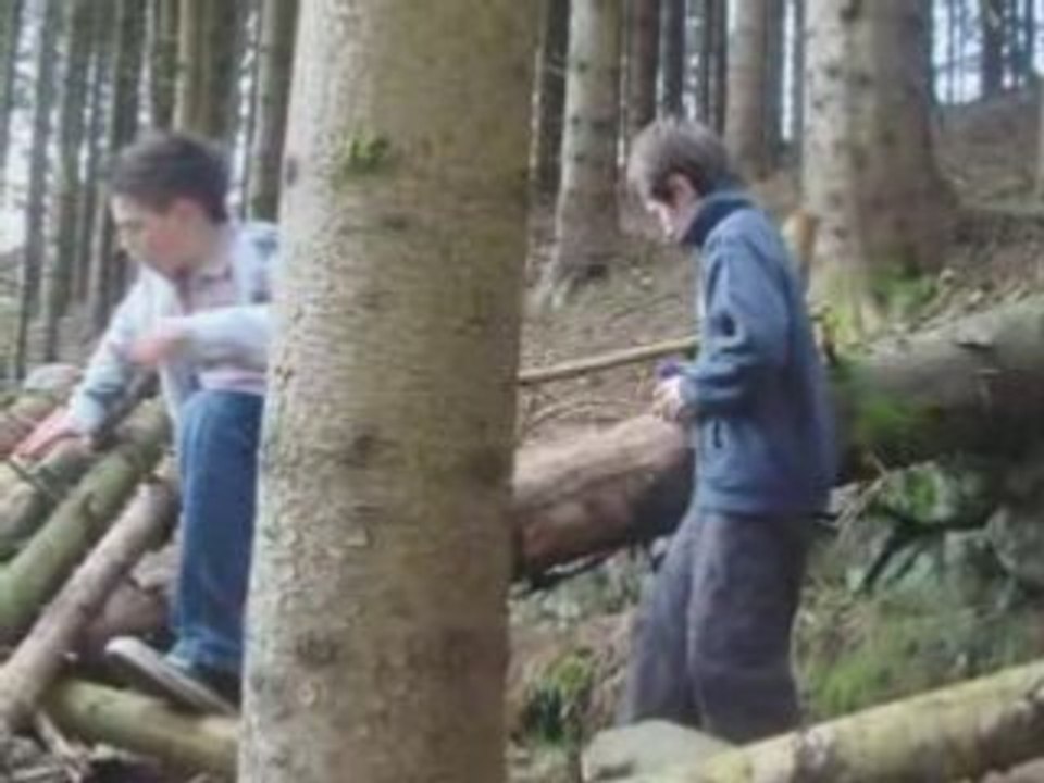 vosges 2008