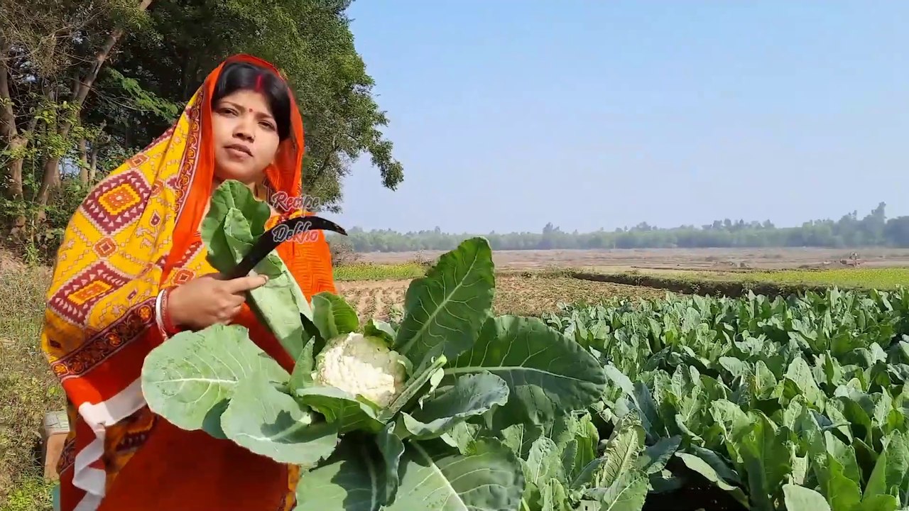 Fresh cauliflower from village garden new recipe _ Fulgovi ka nayi recipe _ Fulkofi tasty curry