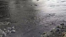 Polluted water go in Rihand Reservoir through Ballia-Kachni drains