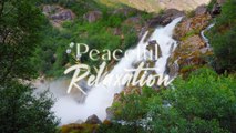 Beautiful Relaxing Music for Stress Relief - Meditation Music, Sleep Music, Ambient Study Music
