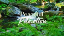 Beautiful Relaxing Music with Water Sounds - Peaceful Ambience for Spa, Yoga and Relaxation