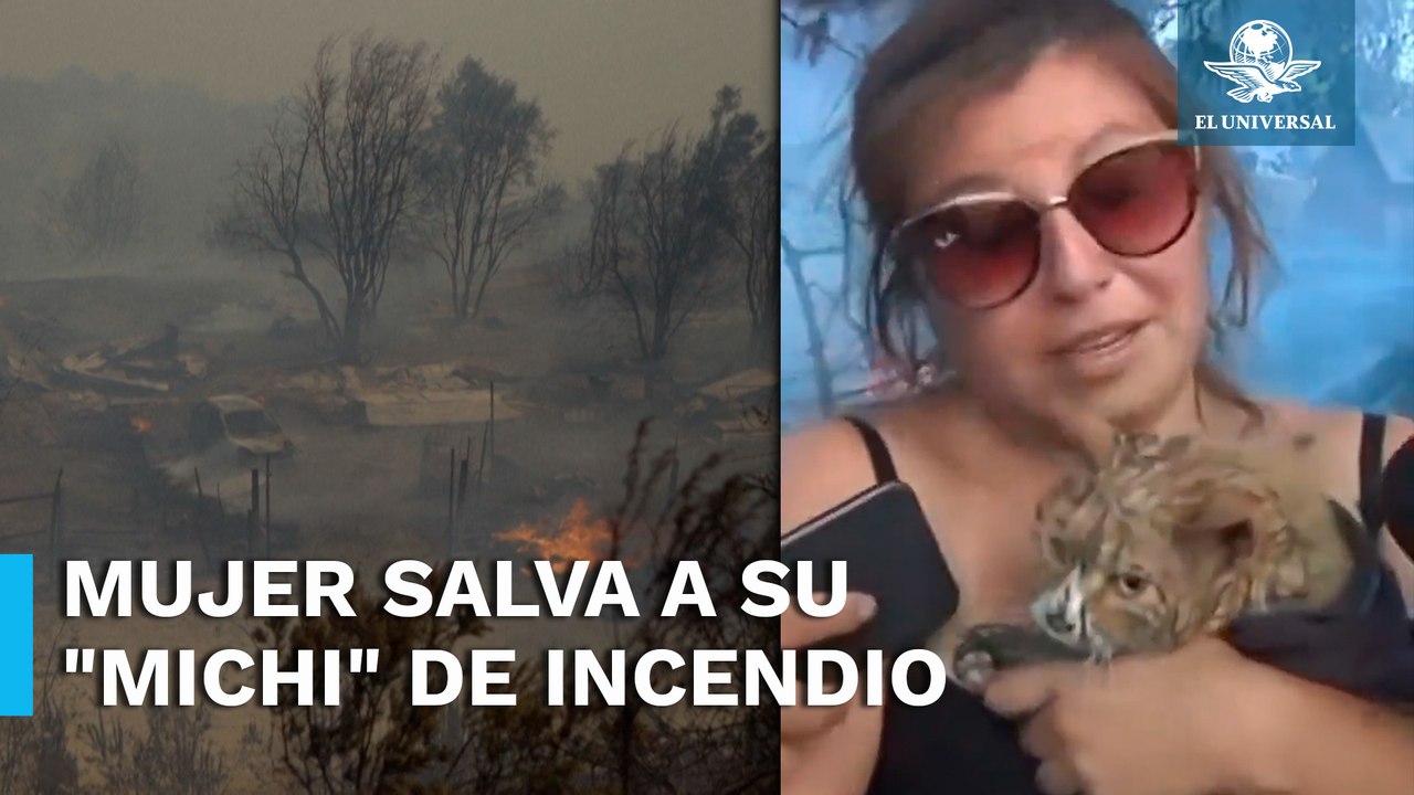 "Tengo que sacar mis gatos”; rescata a su mascota tras incendios forestales en Chile