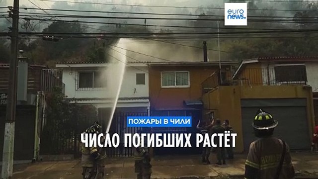 Десятки погибших в Чили: лесные пожары бушуют в густонаселенных центральных районах