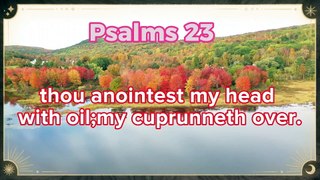 Psalm 06 (23,24)  / ZABOOR