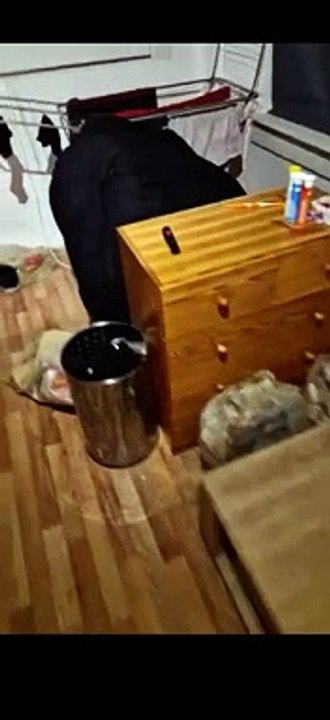 Lukas Heil - Room tour 2023