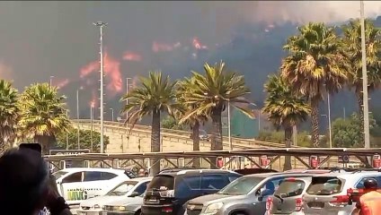 Incêndio florestal em Viña del Mar, no centro-oeste do Chile