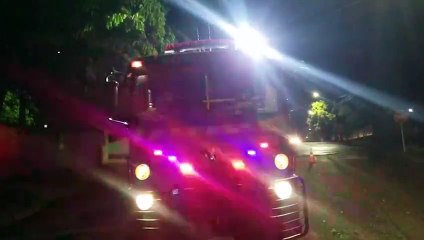 Via é interditada no Maria Luiza após queda de árvore de grande porte