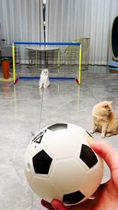 Catch them