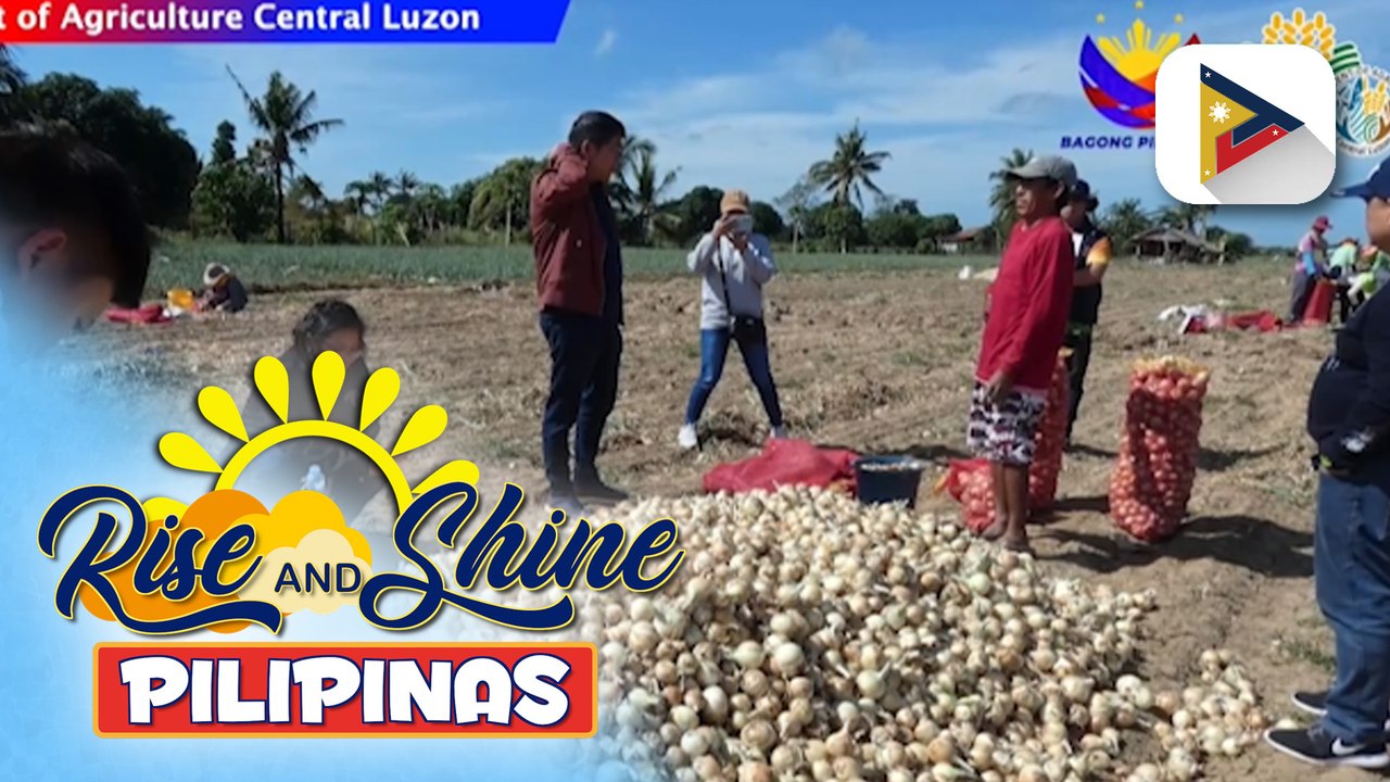 Sapat na supply ng sibuyas ngayong taon, tiniyak ng D.A.
