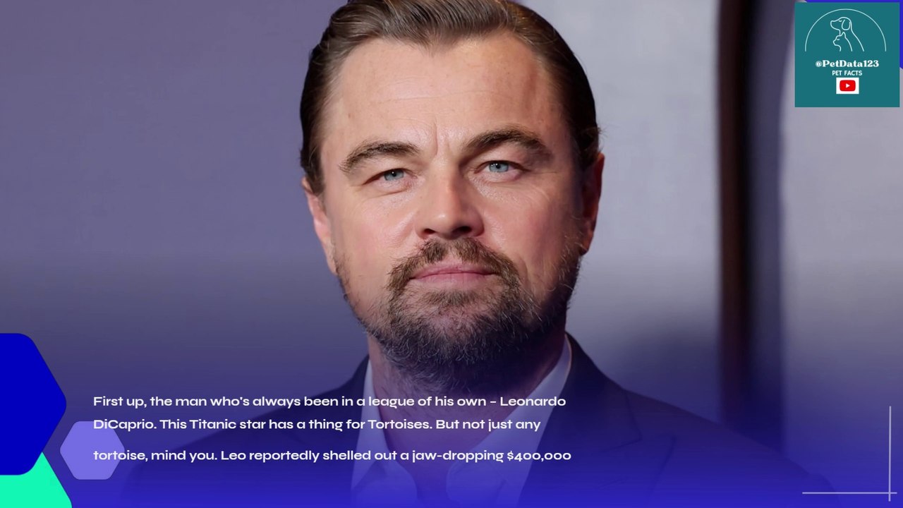 Hollywood's Most EXPENSIVE Pets Revealed