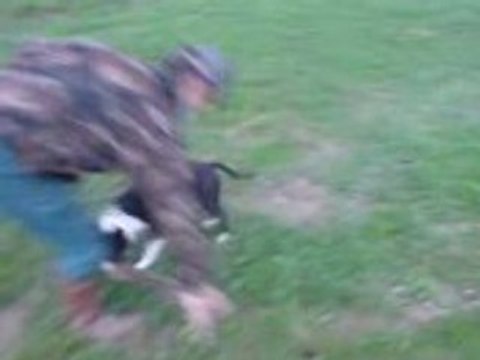 Zyrka Chien American Staff