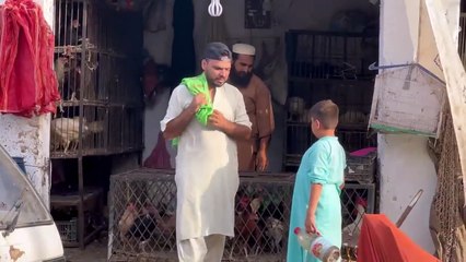 Feet on strangers prank - buying chicken and goat in town - joker pranks latest 2023