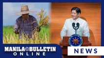 Marcos promises all-out support to farmers: We'll face El Niño together