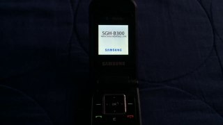 Samsung SGH-B300 Startup And Shutdown | David 99 Phones
