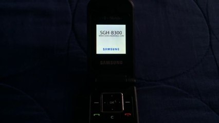 Samsung SGH-B300 Startup And Shutdown | David 99 Phones