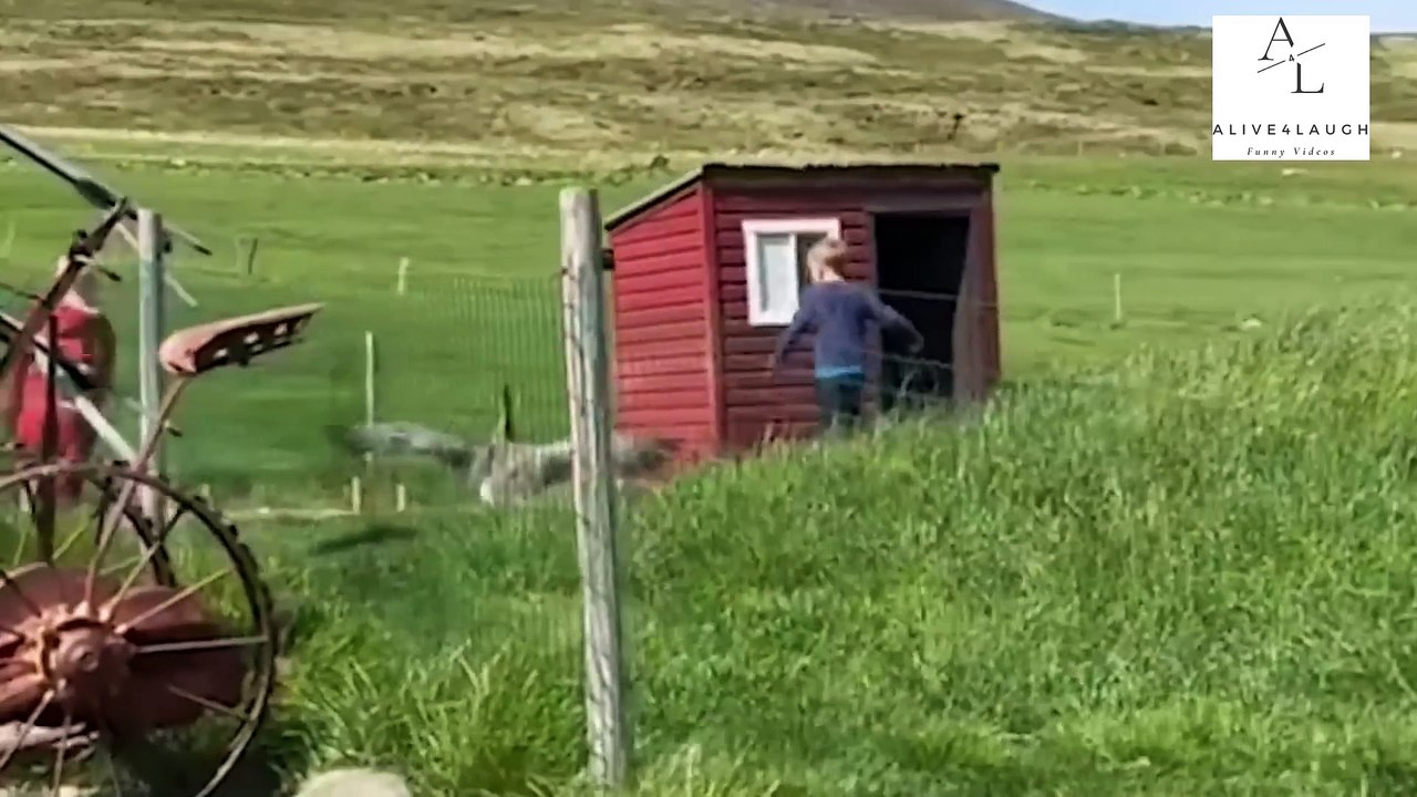 2024 new Best fails  Try Not To Laugh P15