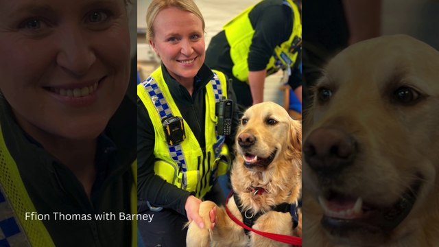 Neighbourhood Policing Week - Tenby, Saundersfoot & Narberth Police