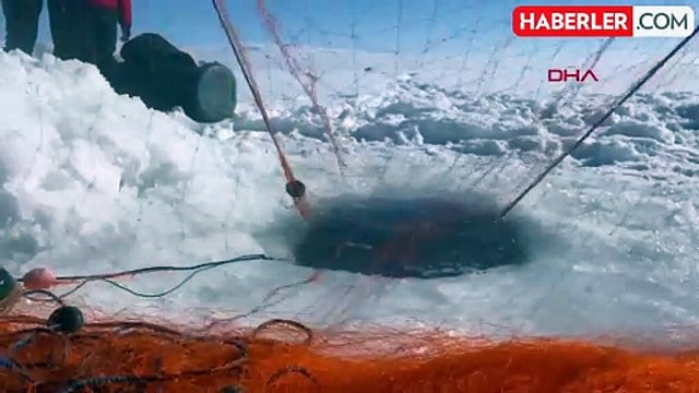 Çıldır Gölü'nde Eskimo Usulü Balık Avı