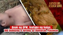 Sampung taong gulang bata mula Palawan patay matapos atakihin ng turong?! | Kapuso Mo, Jessica Soho