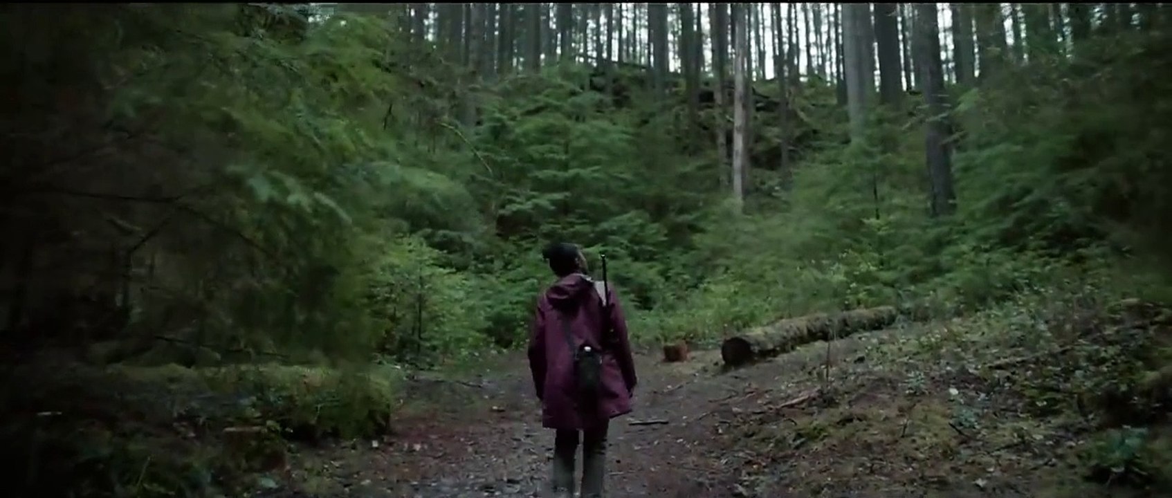 Parallel Fragman